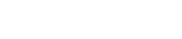 Digiservice logo